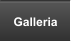 Galleria